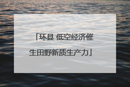 环县 低空经济催生田野新质生产力