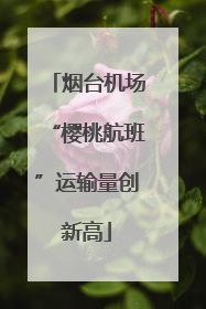 烟台机场“樱桃航班”运输量创新高