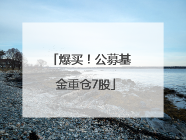 爆买！公募基金重仓7股
