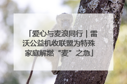 爱心与麦浪同行｜雷沃公益机收联盟为特殊家庭解燃“麦”之急
