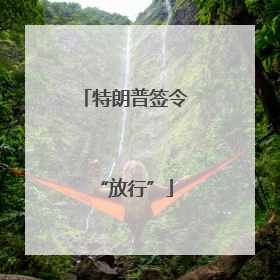 特朗普签令“放行”