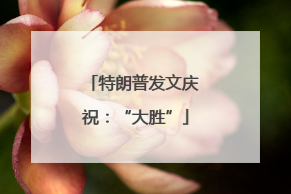 特朗普发文庆祝：“大胜”