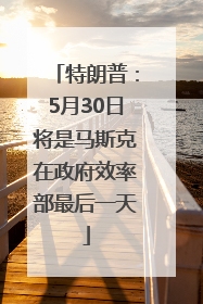 特朗普：5月30日将是马斯克在政府效率部最后一天