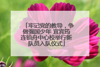 牢记党的教导，争做强国少年 宜宾筠连镇舟中心校举行新队员入队仪式