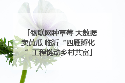 物联网种草莓 大数据卖黄瓜 临沂“四雁孵化”工程链动乡村共富