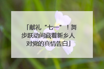 献礼“七一”！舞步跃动间藏着新乡人对党的真情告白