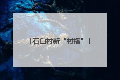 石臼村新“村播”