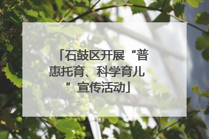 石鼓区开展“普惠托育、科学育儿”宣传活动