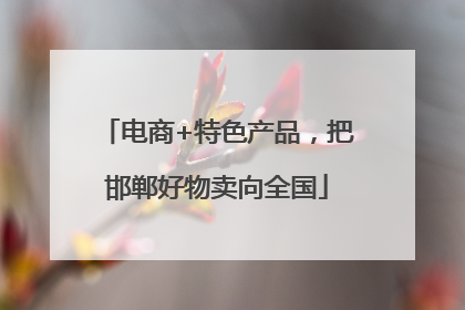 电商+特色产品，把邯郸好物卖向全国