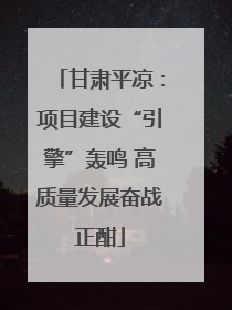 甘肃平凉：项目建设“引擎”轰鸣 高质量发展奋战正酣