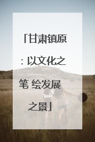 甘肃镇原:以文化之笔 绘发展之景