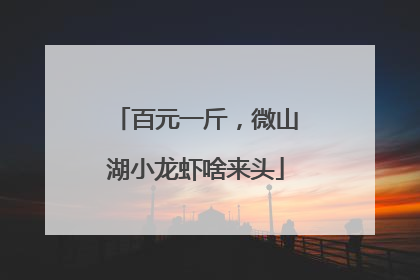 百元一斤，微山湖小龙虾啥来头