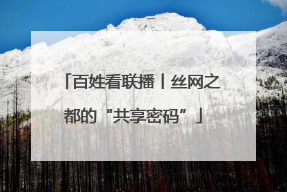 百姓看联播丨丝网之都的“共享密码”