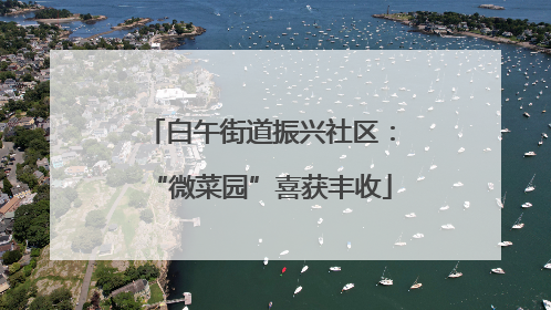 白午街道振兴社区：“微菜园”喜获丰收
