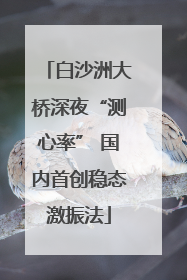 白沙洲大桥深夜“测心率” 国内首创稳态激振法