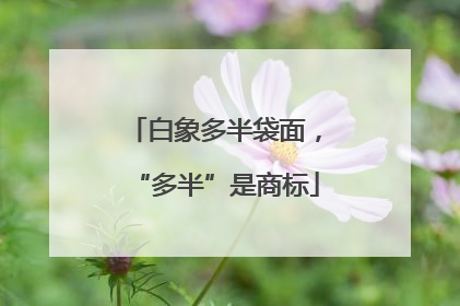 白象多半袋面，“多半”是商标