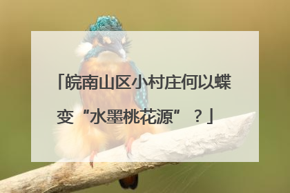 皖南山区小村庄何以蝶变“水墨桃花源”？