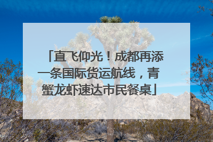 直飞仰光！成都再添一条国际货运航线，青蟹龙虾速达市民餐桌
