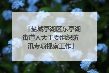 盐城亭湖区东亭湖街道人大工委组织防汛专项视察工作