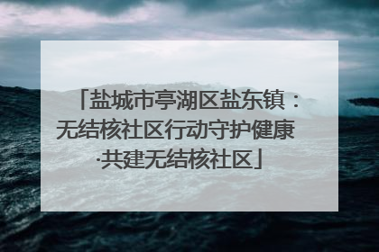 盐城市亭湖区盐东镇：无结核社区行动守护健康 ·共建无结核社区