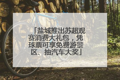 盐城推出苏超观赛消费大礼包，凭球票可享免费游景区、抽汽车大奖