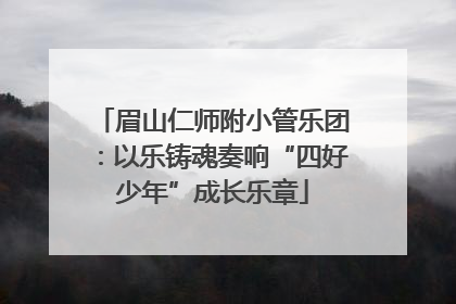 眉山仁师附小管乐团：以乐铸魂奏响“四好少年”成长乐章