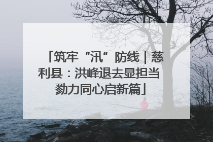 筑牢“汛”防线｜慈利县：洪峰退去显担当 勠力同心启新篇