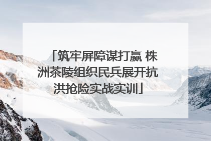 筑牢屏障谋打赢 株洲茶陵组织民兵展开抗洪抢险实战实训