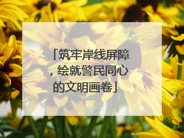 筑牢岸线屏障，绘就警民同心的文明画卷