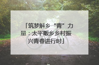 筑梦斛乡“青”力量：太平畈乡乡村振兴青春进行时