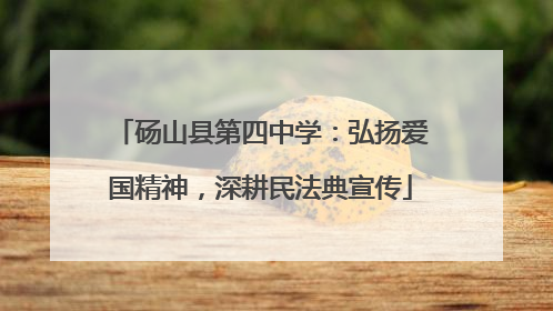 砀山县第四中学：弘扬爱国精神，深耕民法典宣传