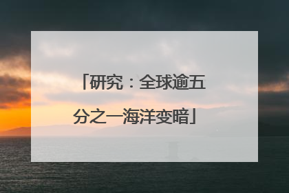 研究：全球逾五分之一海洋变暗