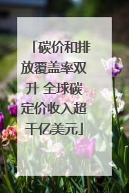 碳价和排放覆盖率双升 全球碳定价收入超千亿美元