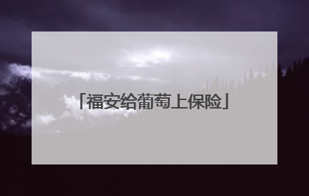 福安给葡萄上保险