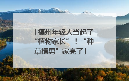福州年轻人当起了“植物家长”！“种草植男”家亮了