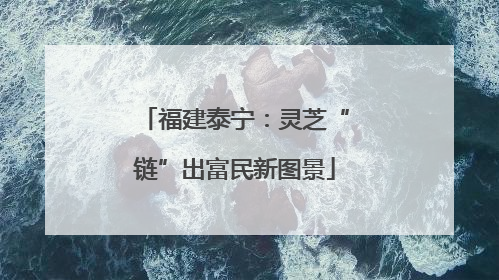 福建泰宁：灵芝“链”出富民新图景