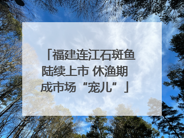 福建连江石斑鱼陆续上市 休渔期成市场“宠儿”