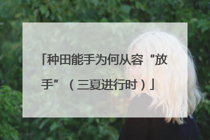 种田能手为何从容“放手”（三夏进行时）