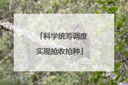 科学统筹调度实现抢收抢种