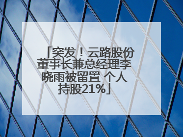 突发！云路股份董事长兼总经理李晓雨被留置 个人持股21%