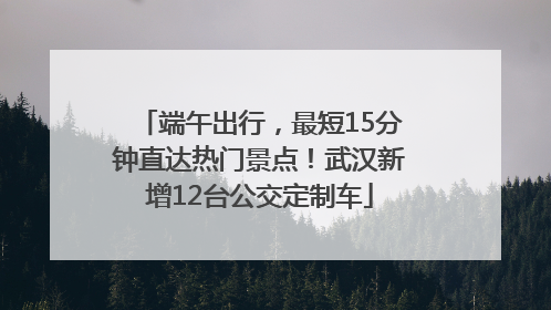 端午出行，最短15分钟直达热门景点！武汉新增12台公交定制车
