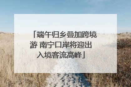端午归乡叠加跨境游 南宁口岸将迎出入境客流高峰