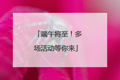 端午将至！多场活动等你来