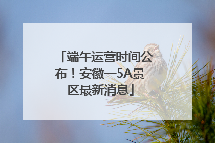 端午运营时间公布！安徽一5A景区最新消息