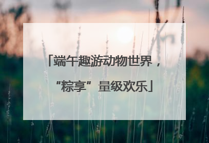 端午趣游动物世界，“粽享”量级欢乐