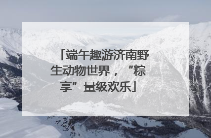 端午趣游济南野生动物世界，“粽享”量级欢乐