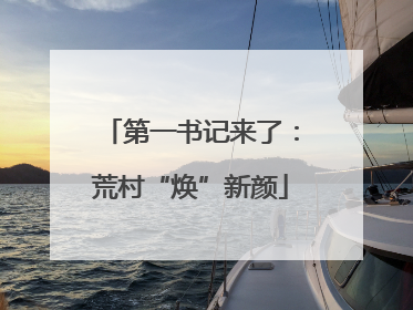 第一书记来了：荒村“焕”新颜