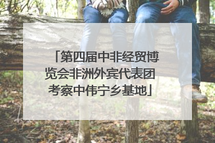 第四届中非经贸博览会非洲外宾代表团考察中伟宁乡基地