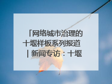 网络城市治理的十堰样板系列报道｜新闻专访：十堰为什么成为“黑马型”城市治理网络维度典型