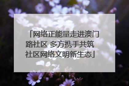网络正能量走进澳门路社区 多方携手共筑社区网络文明新生态